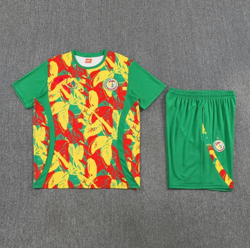 Senegal Trainingssetje 25/26